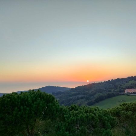 Vista Sulle Isole Dell'Arcipelago Toscano Nibbiaia Δωμάτιο φωτογραφία